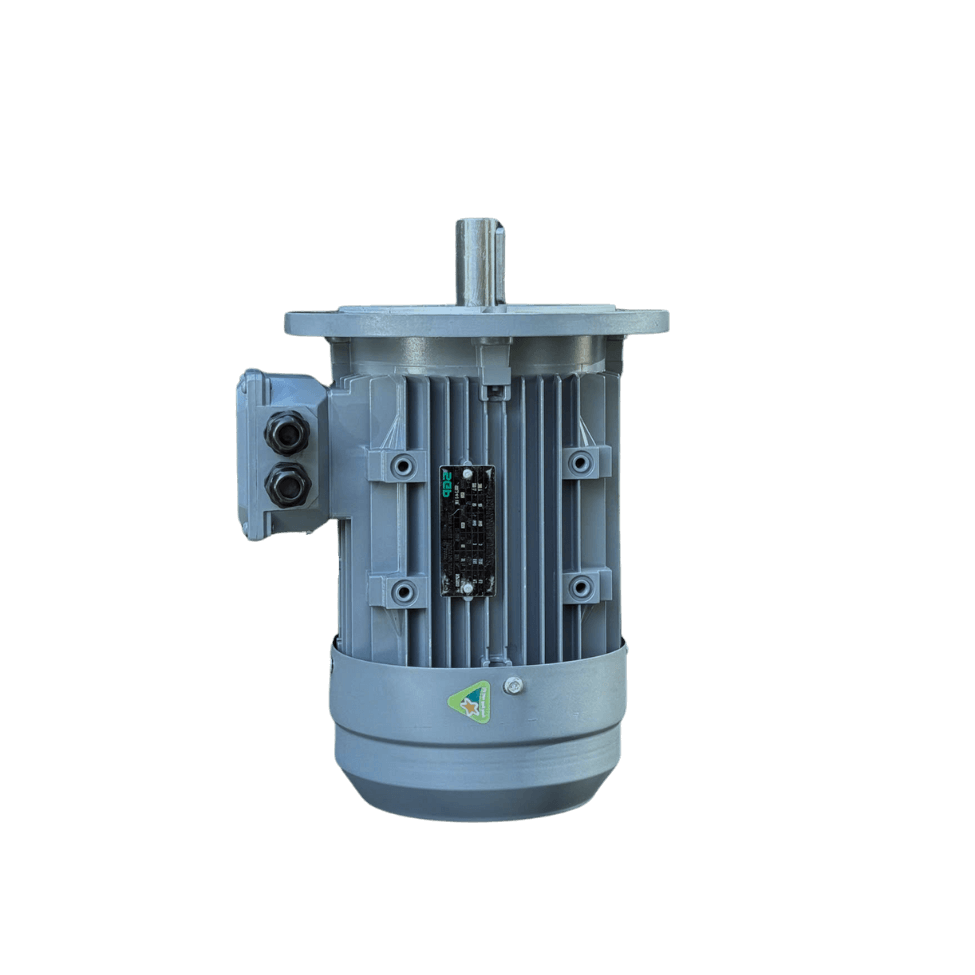 dong-co-dien-sgp-b5-mat-bich-1-1