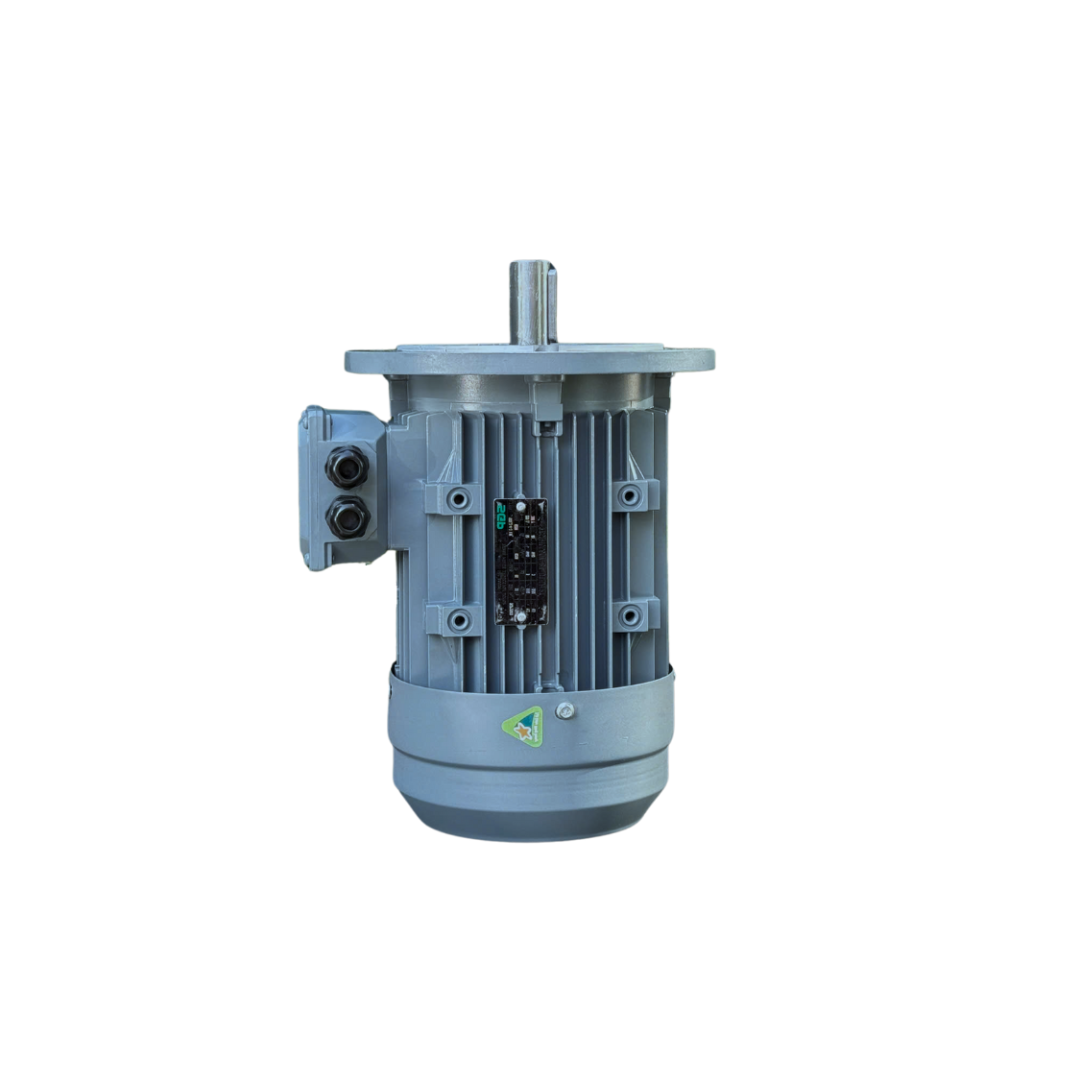 Động Cơ Điện SGP 0.75kW 4 Cực Mặt Bích | Ngọc Tiên